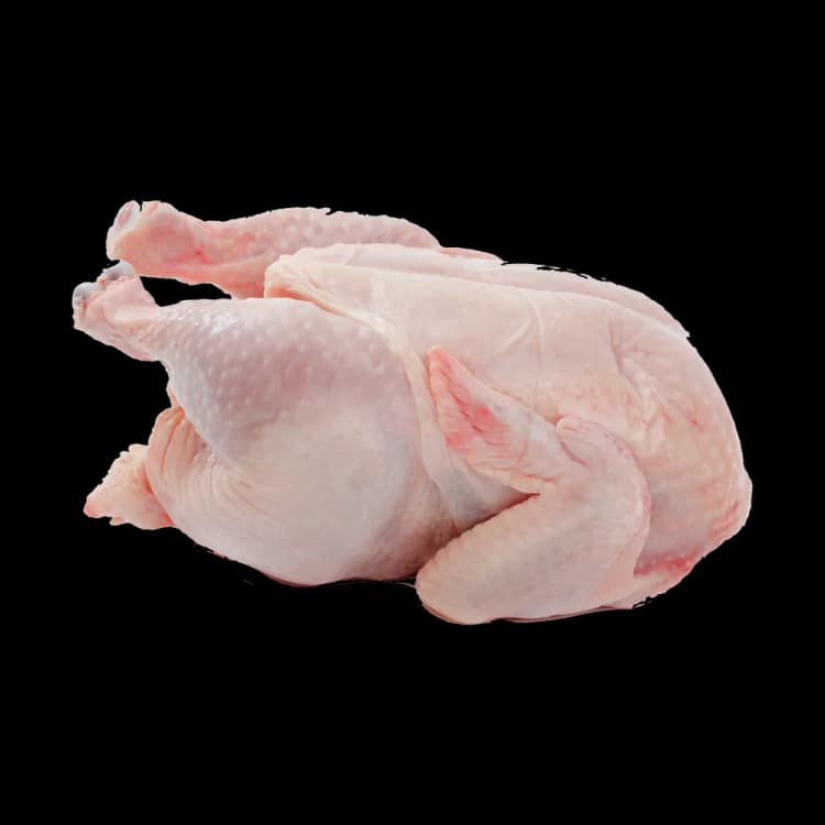 Image for Chicken Meat