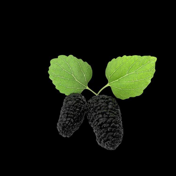 Image for Mulberry