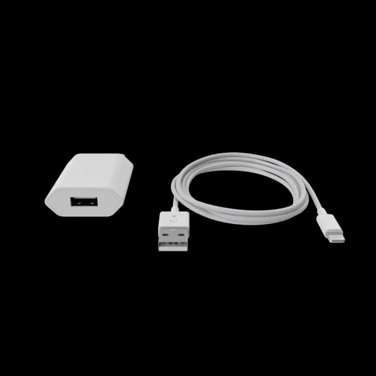 Image for Apple iPhone Charger